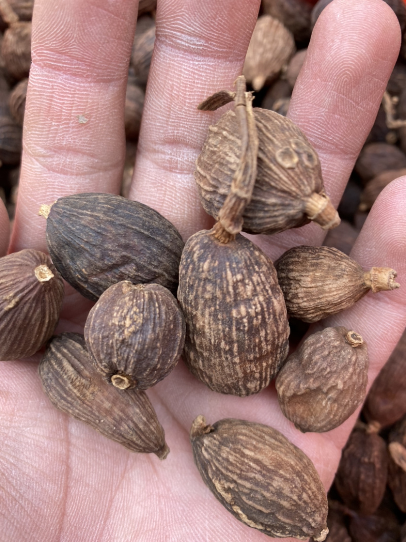 草果各种中药材香料批发量大从优实物拍摄保质保量