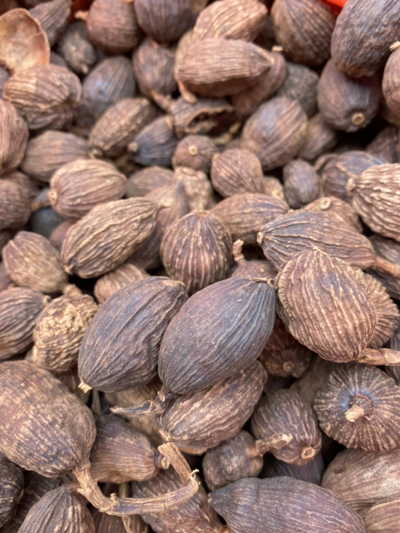 草果各种中药材香料批发量大从优实物拍摄保质保量