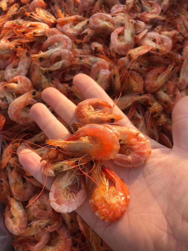 无盐烤虾壳肉分离特别有嚼劲五斤包邮诚招代理商
