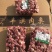 【精选】雪花牛肉粒(厂家直销,批发零售)
