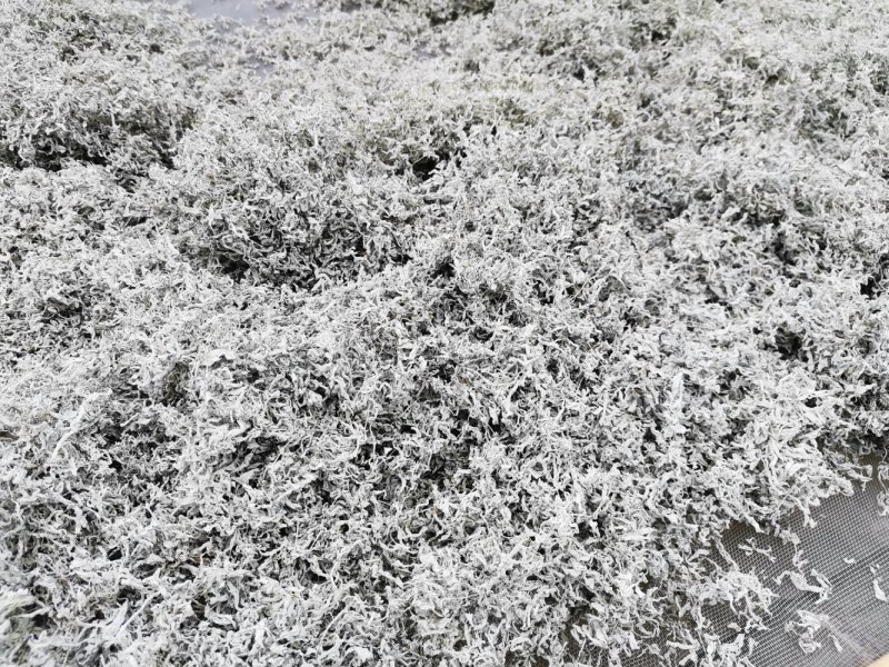 湘西正宗莓茶