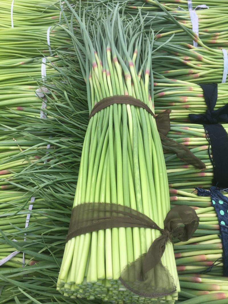 蒜薹