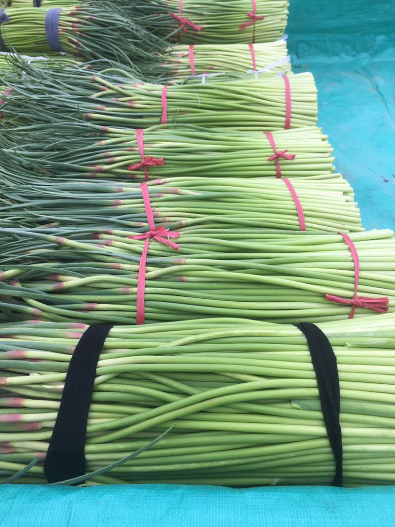 蒜薹