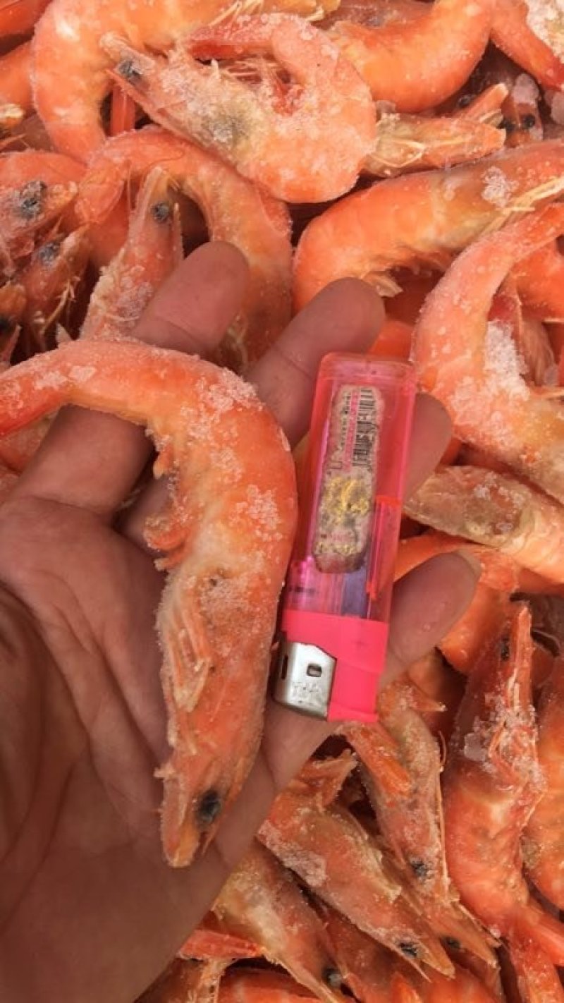 北部湾熟冻单冻红虾，。