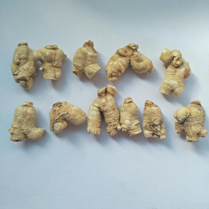 西洋参粒头花旗参粒头产地销售5年颗颗精选包邮