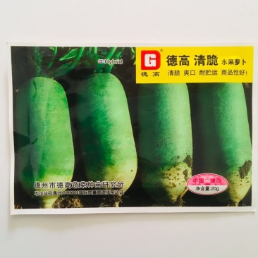 德高清脆水果萝卜种子杂交种甜脆花叶水果青萝卜种子抗病