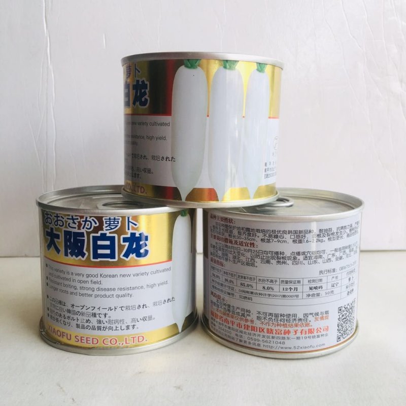 大坂白龙杂交白萝卜种子韩国引进新品种耐抽苔抗病大白萝卜