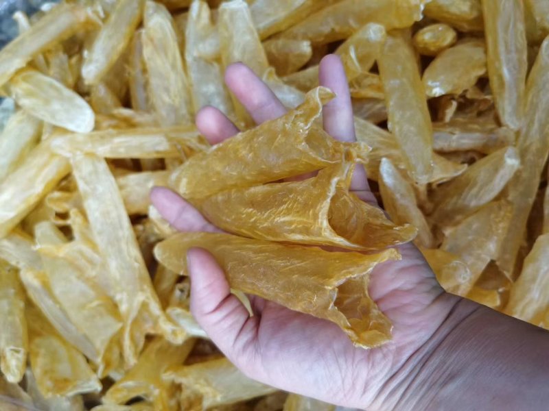 黄花鱼胶花胶60头全新(包邮除偏远地区外)