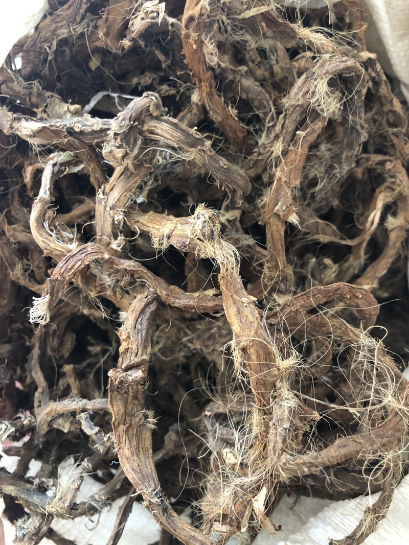 野生石菖蒲