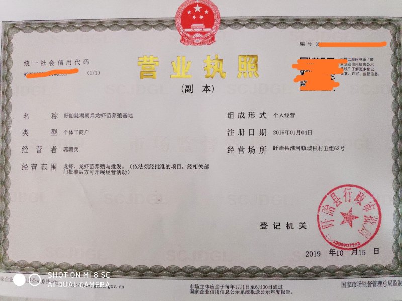 供应龙虾苗，种虾，水草，饲料，技术帮助水质检测可开发票