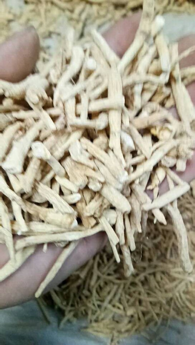 【西洋参丁】长白山西洋参丁产地发货纯干足量包邮