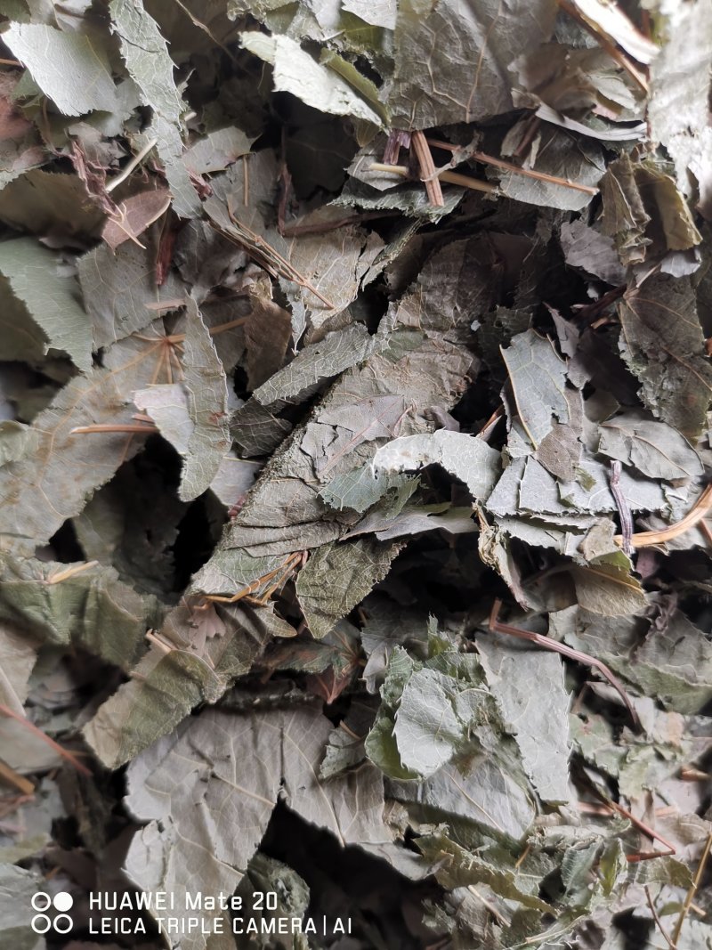 淫羊藿实物拍摄批发各种中药材