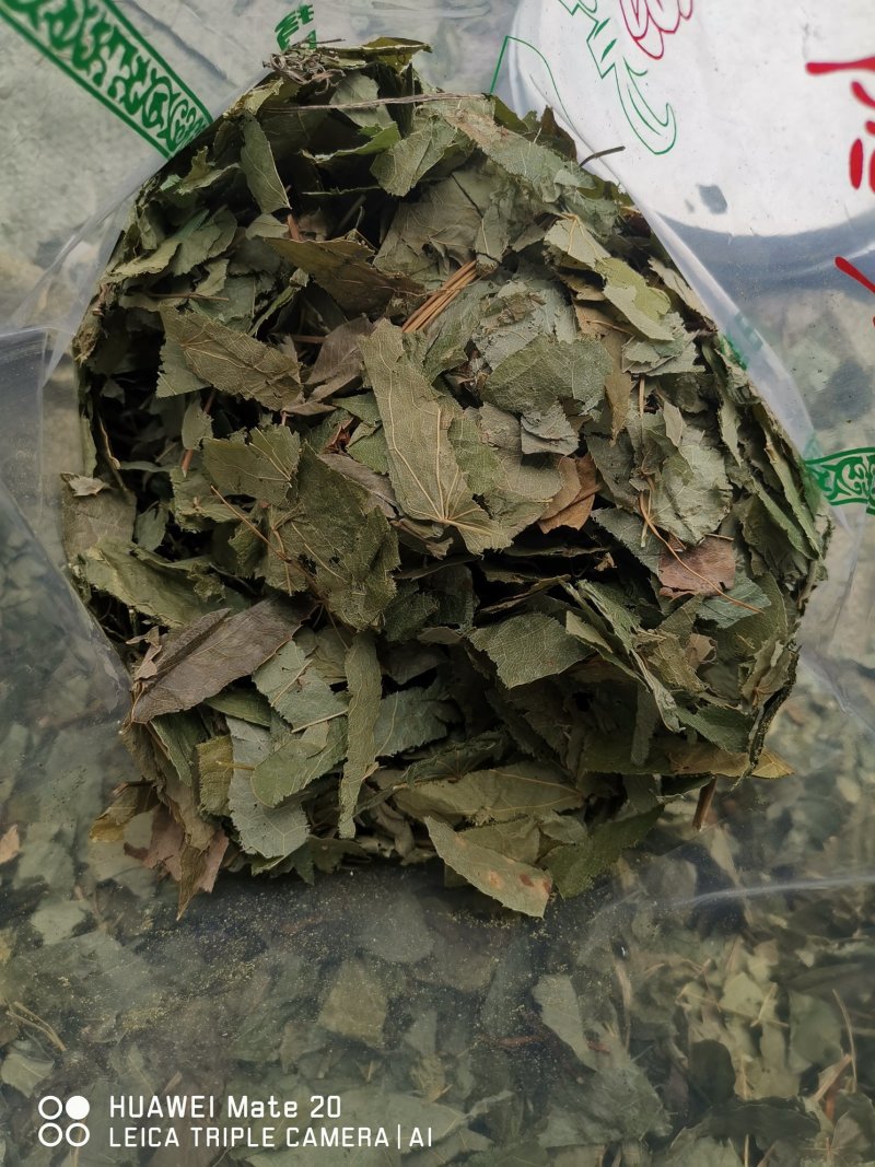 淫羊藿实物拍摄批发各种中药材
