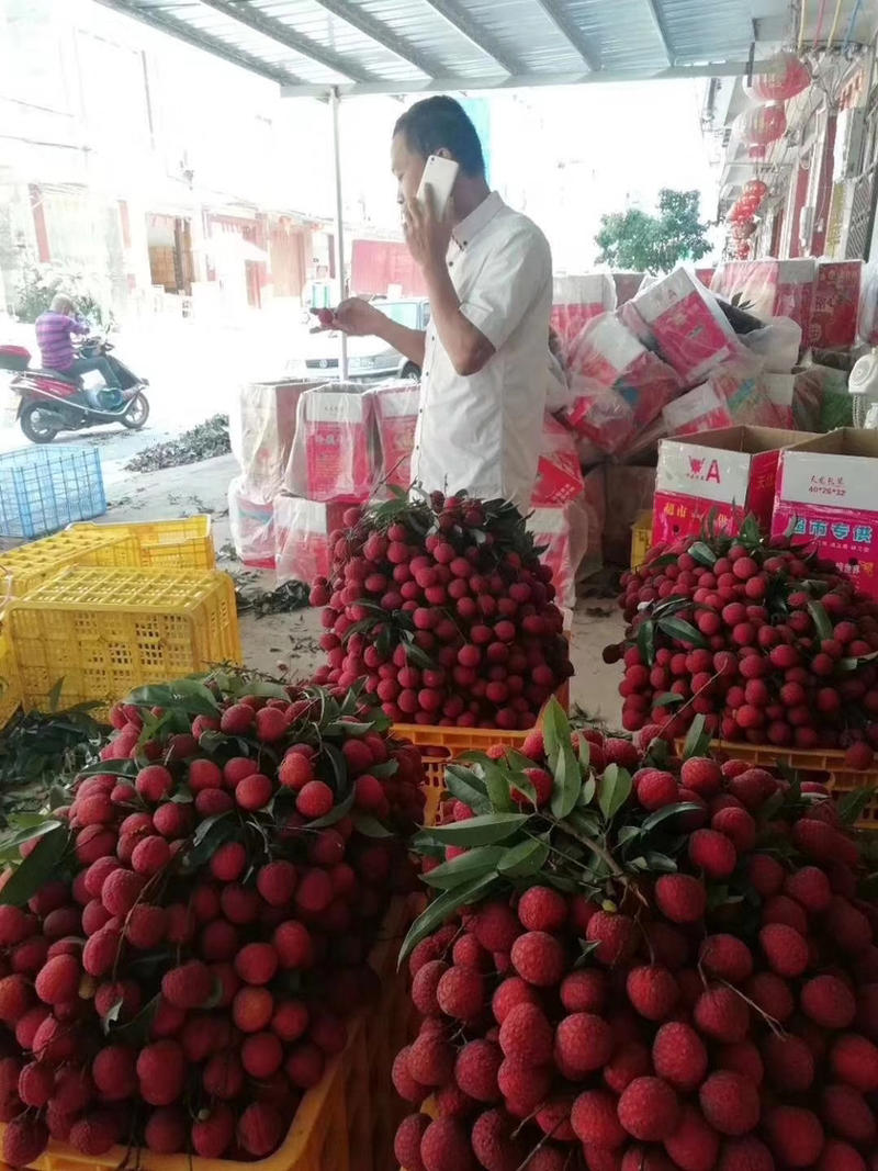 广东妃子笑新鲜荔枝产地代办，一件代发，现货速发