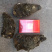 新鲜生蚝特大生蚝各种规格海蛎子牡蛎肉，批发零售，场地场地