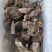 新鲜生蚝特大生蚝各种规格海蛎子牡蛎肉，批发零售，场地场地