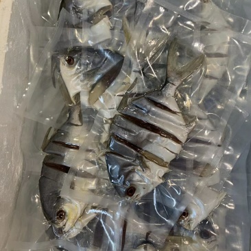 金鲳鱼干