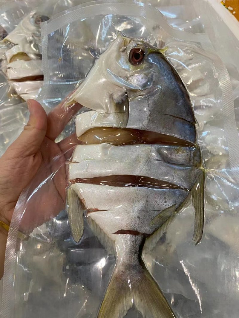 金鲳鱼干