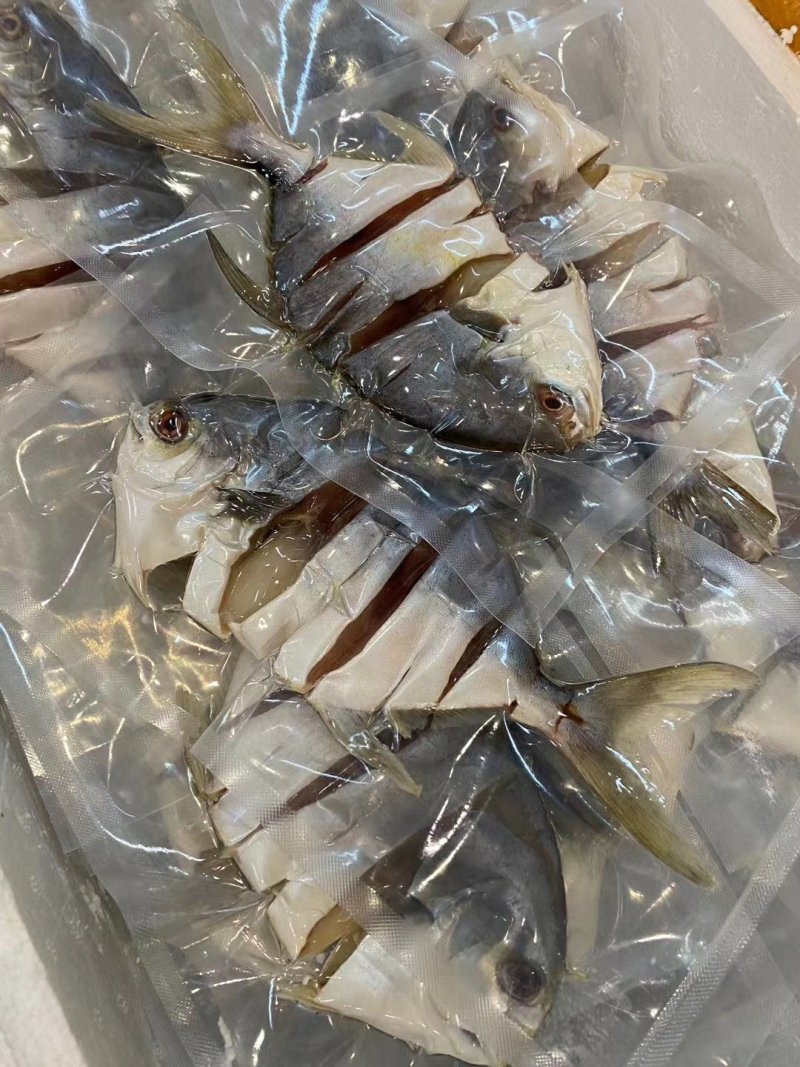 金鲳鱼干