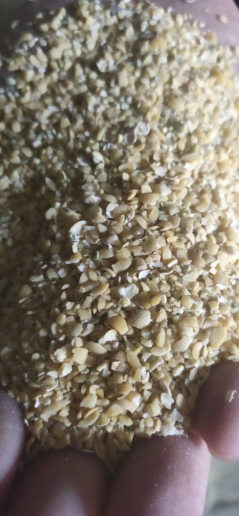 本公司常年出售碎黄豆质量保证诚信经营