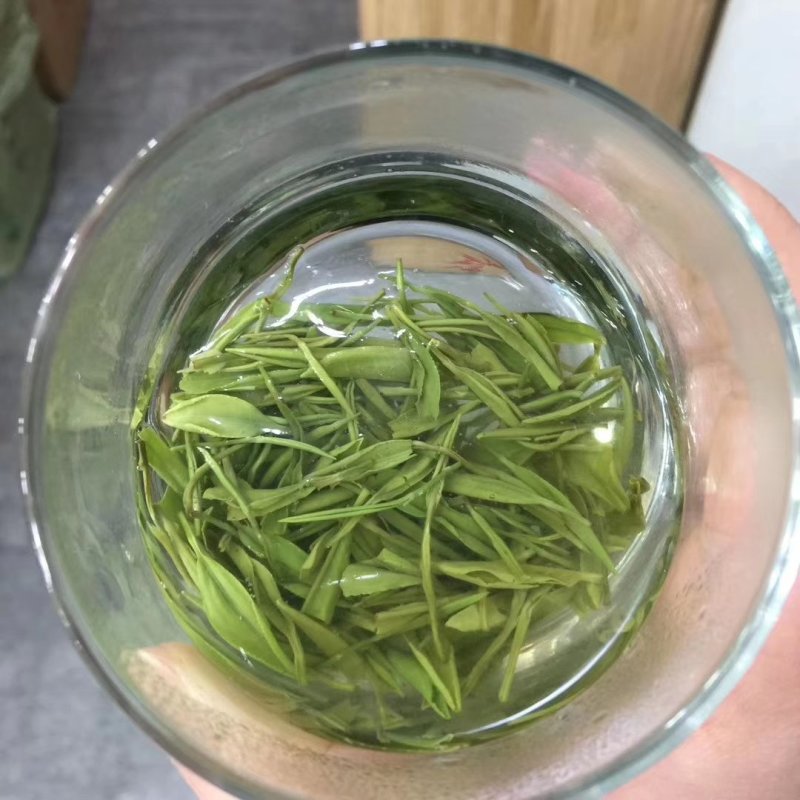 2021恩施玉露新茶500g包邮