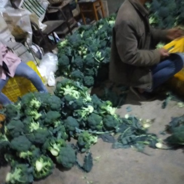 质量没问题，价格合适