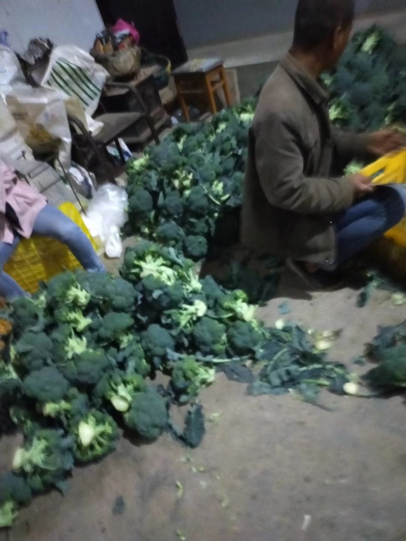 质量没问题，价格合适