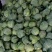 质量没问题，价格合适