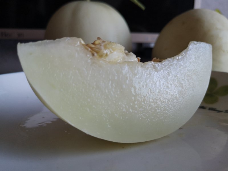现货阎良甜瓜新鲜水果一件代发陕西发货非云南玉金香