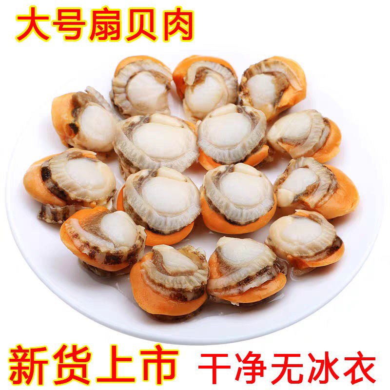 【精品好货】新鲜大个无沙扇贝肉
