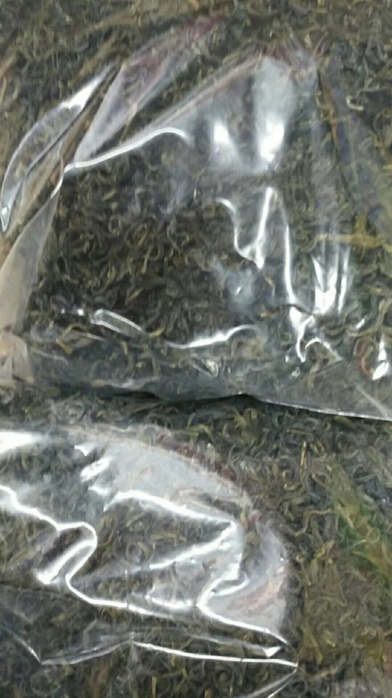 阳明生态茶