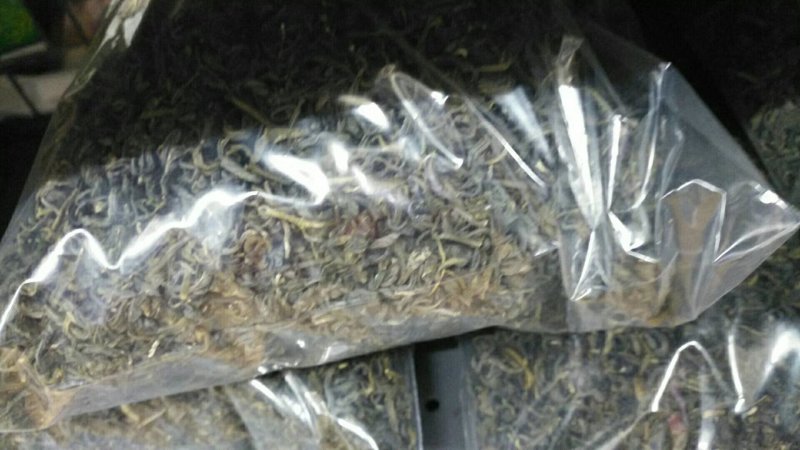 阳明生态茶