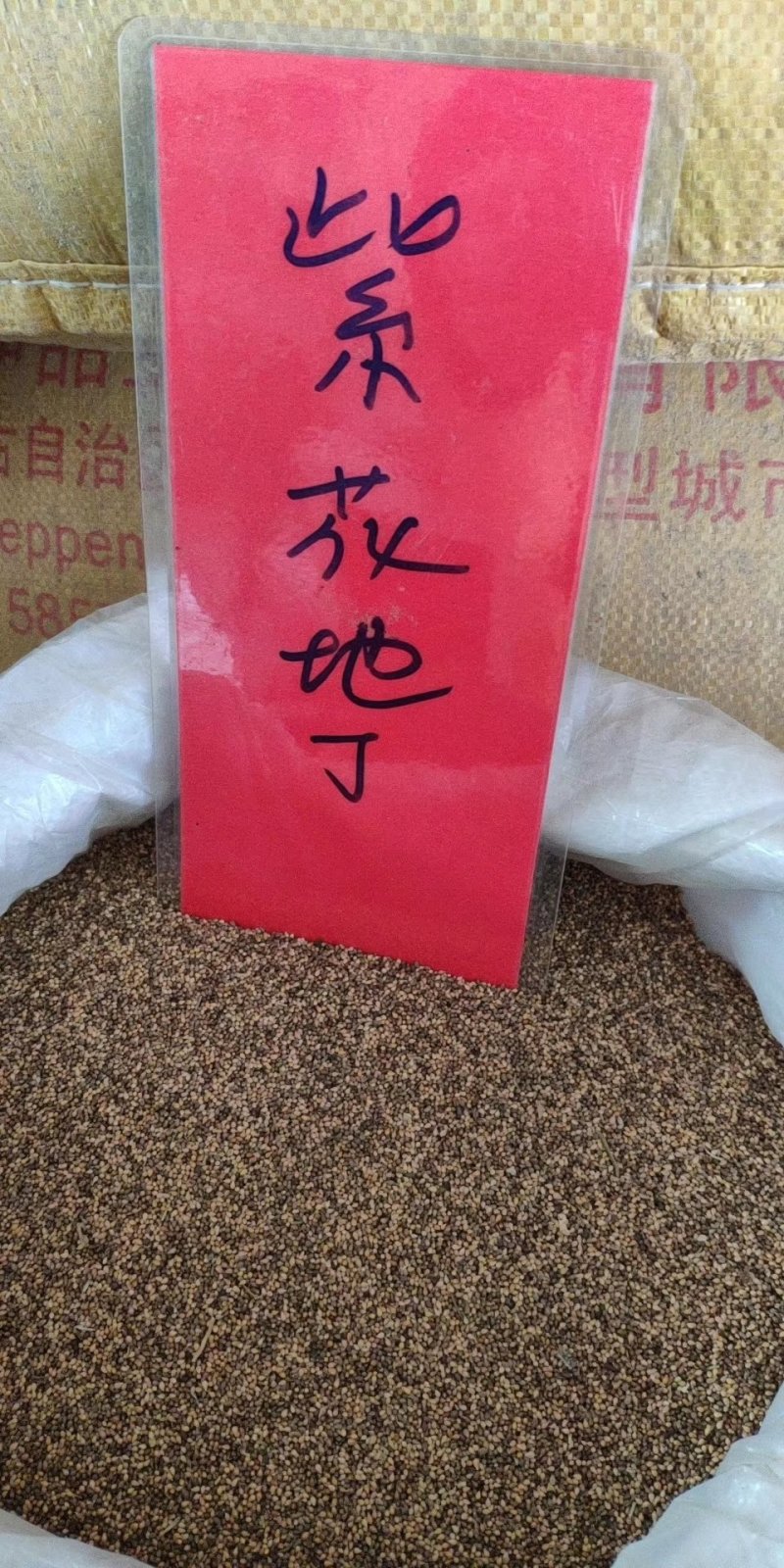 实体种业波斯菊种子日光菊黑心菊松果菊金鸡菊籽
