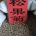 实体种业波斯菊种子日光菊黑心菊松果菊金鸡菊籽