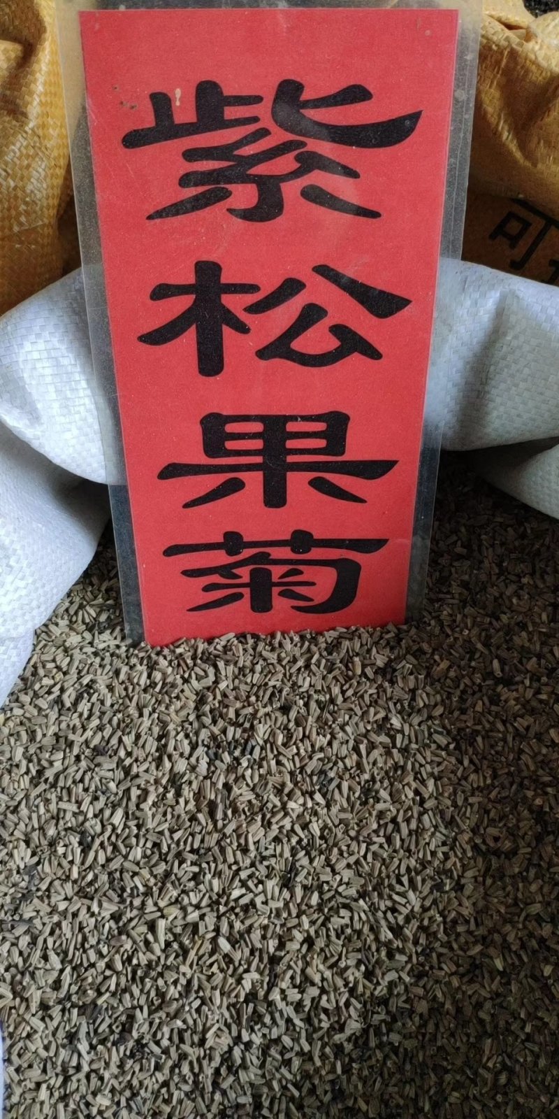 实体种业波斯菊种子日光菊黑心菊松果菊金鸡菊籽
