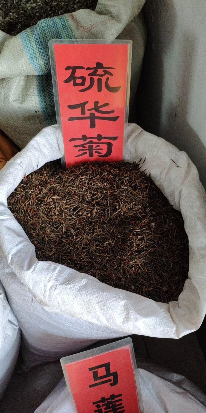 实体种业波斯菊种子日光菊黑心菊松果菊金鸡菊籽
