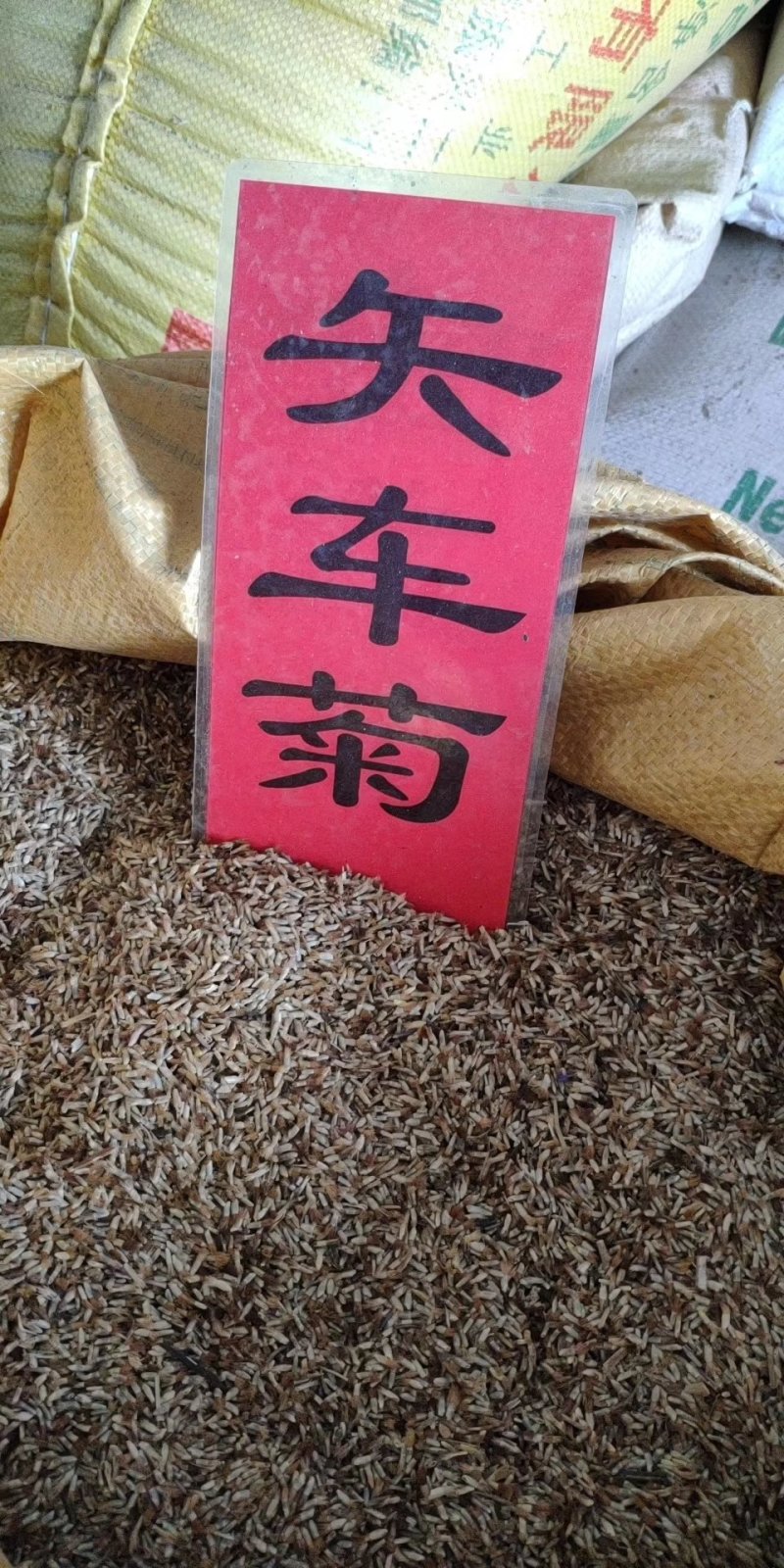 实体种业波斯菊种子日光菊黑心菊松果菊金鸡菊籽