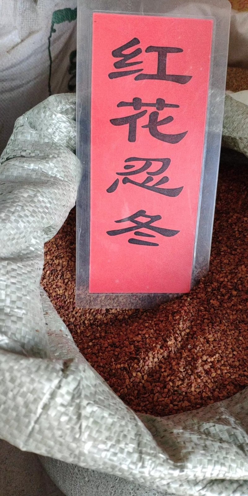 实体种业五彩石竹种子油菜花向日葵麦仙草紫花地丁