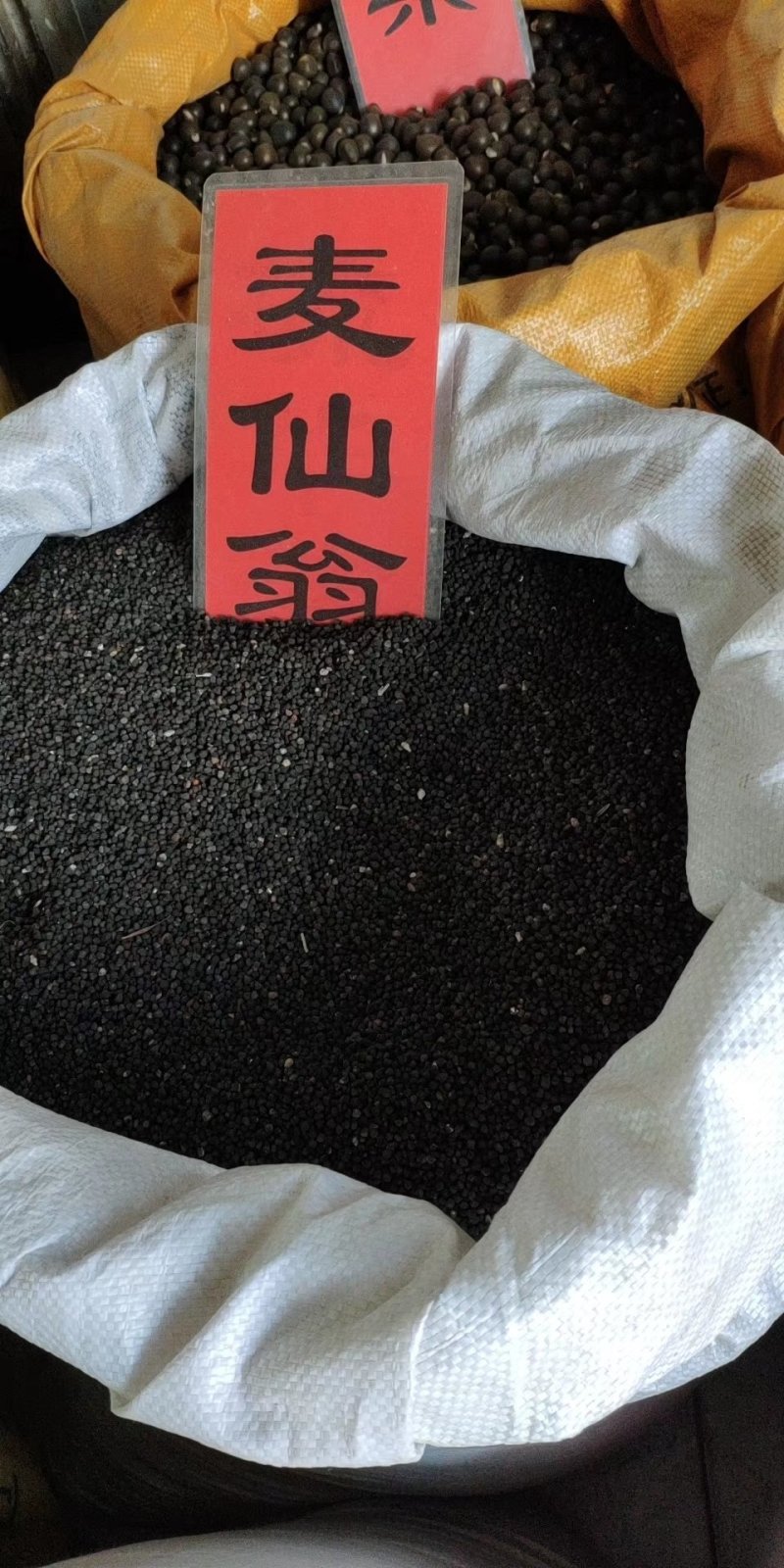 实体种业五彩石竹种子油菜花向日葵麦仙草紫花地丁