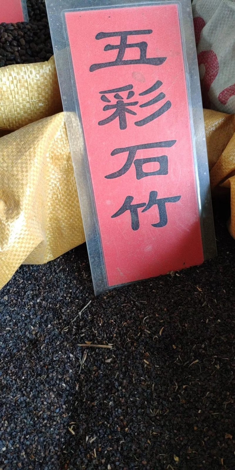 实体种业五彩石竹种子油菜花向日葵麦仙草紫花地丁