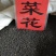 实体种业五彩石竹种子油菜花向日葵麦仙草紫花地丁