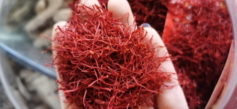 藏红花10克起批包邮蓝标花丝，整桶起价格有优惠