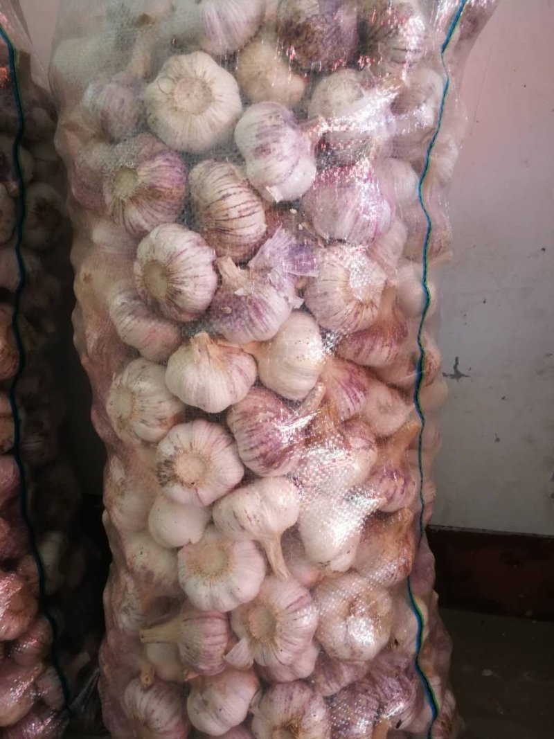 大蒜头【河南开封通许万亩基地直供高质量高标准】