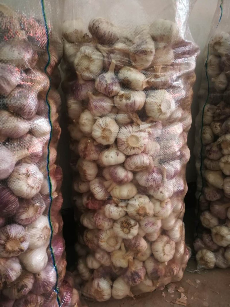 大蒜头【河南开封通许万亩基地直供高质量高标准】
