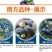 【爆品】蓝莓苗蓝丰兔眼黑珍珠薄雾等品种卖疯了包邮