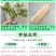 【爆品】蓝莓苗蓝丰兔眼黑珍珠薄雾等品种卖疯了包邮
