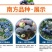 【爆品】蓝莓苗蓝金兔眼薄雾黑珍珠等保证品种包邮