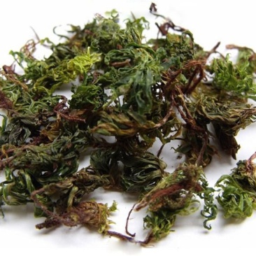 云南野生回心草干货，鲜货都可以，有需要的老板请联系