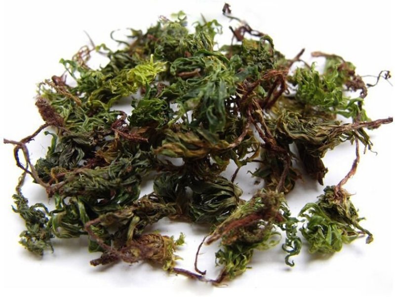 云南野生回心草干货，鲜货都可以，有需要的老板请联系