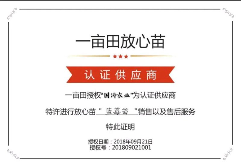 【爆品】蓝莓苗蓝金兔眼薄雾黑珍珠等保证品种包邮